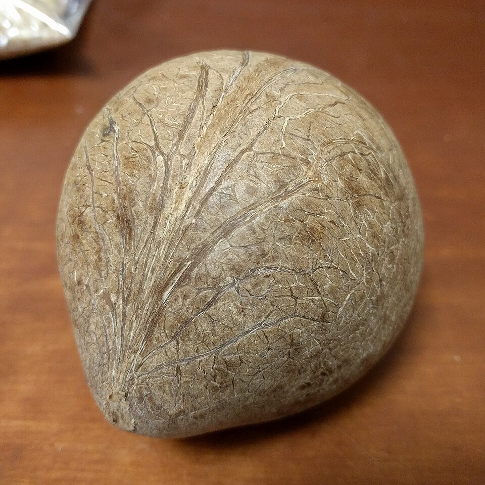 Khopra Dry Coconut Gola