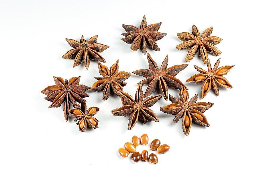 Whole Star Anise Chakra Phool